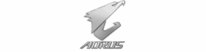 AORUS
